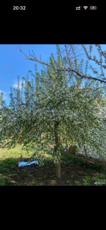 Продам участок в СНТ Горем-25 с кирпичным  домиком (проведен свет, есть место для парковки машины), - Орск