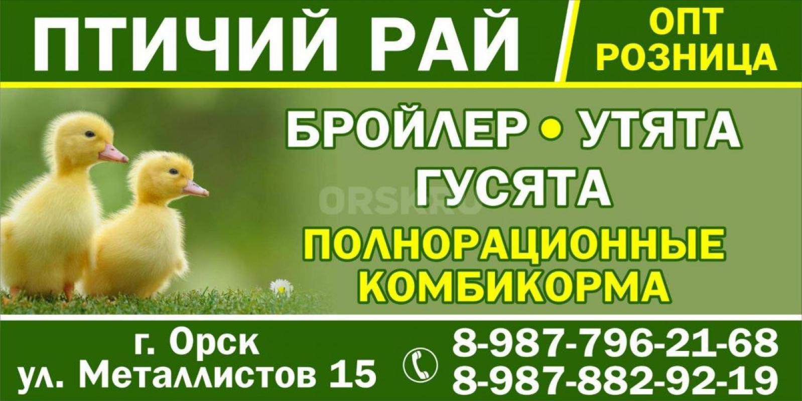 Реализуем Глазовский комбикорм для цыплят бройлеров старт от 0 до 25 дней 25 кг 1400 руб
Для цыплят - Орск