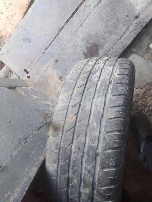 1летний баллон б. у р15(205-65)-500руб. - Орск