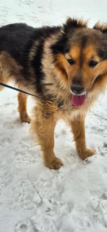 Орск ! - Орск