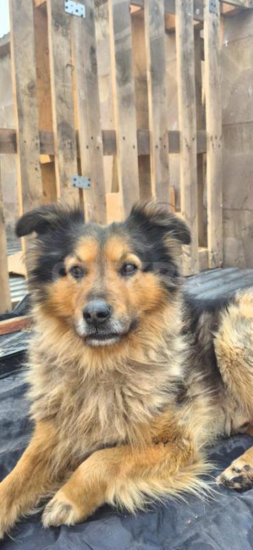 Орск ! - Орск