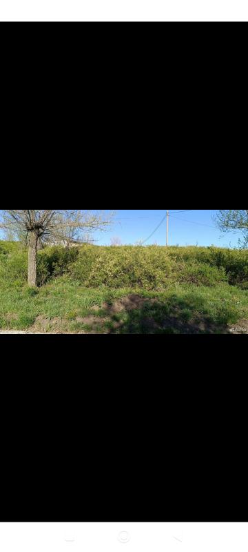 ЦЕНА ЗА СОТКУ 50 тысяч. - Новотроицк