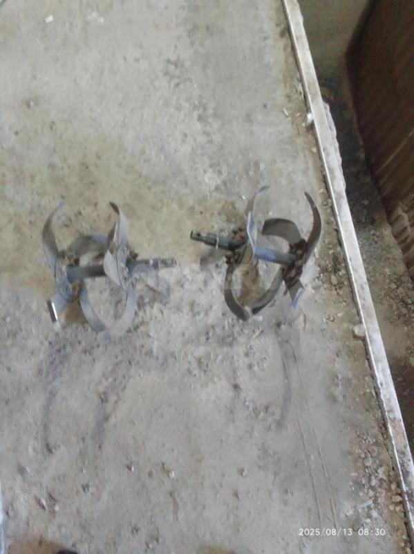 Опрыскиватель садовый " Жук" б, у в рабочем состоянии две телескопички  для деревь - Орск