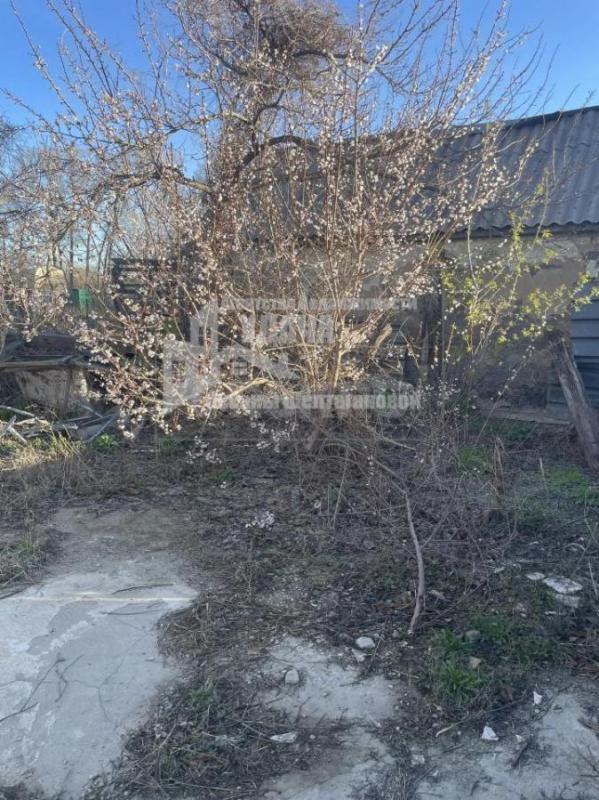 Продам дачу СТ Горем 25
Беседка, домик , насаждения
Подробности по телефону - Орск