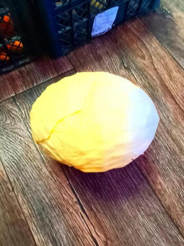 продам излишки с огорода свекла морковь  есть все по 1 мешку капуста есть еще  ЛУК   за кг - Орск