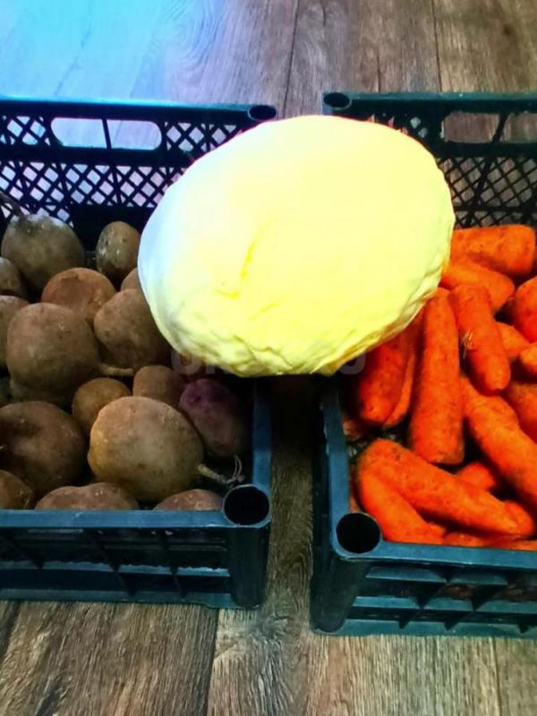 продам излишки с огорода свекла морковь  есть все по 1 мешку капуста есть еще  ЛУК   за кг - Орск