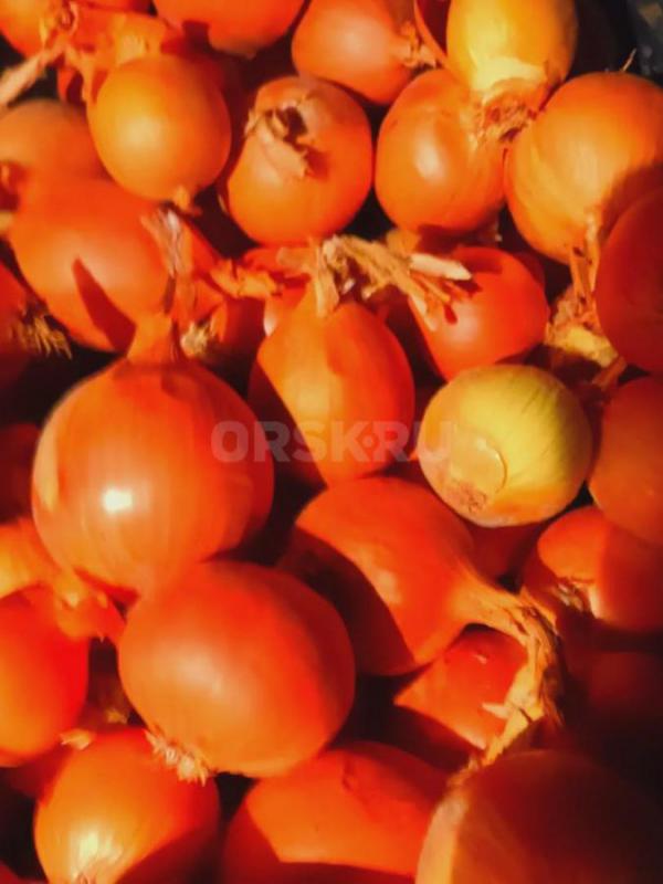 продам излишки с огорода свекла морковь  есть все по 1 мешку капуста есть еще  ЛУК   за кг - Орск