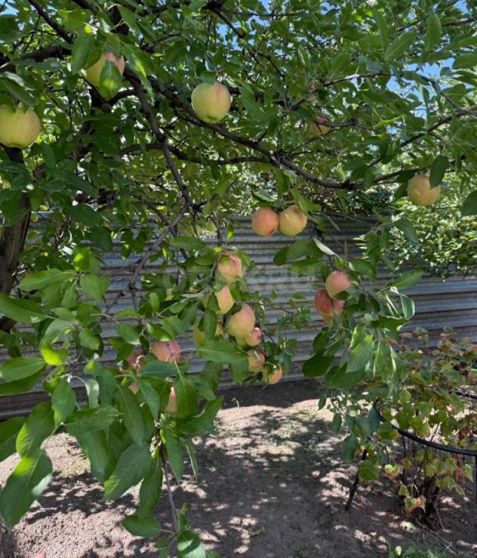 Продам сад остановка 2-я садовая СНТ № 2, ул. - Орск