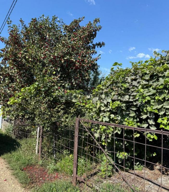 Продам сад остановка 2-я садовая СНТ № 2, ул. - Орск