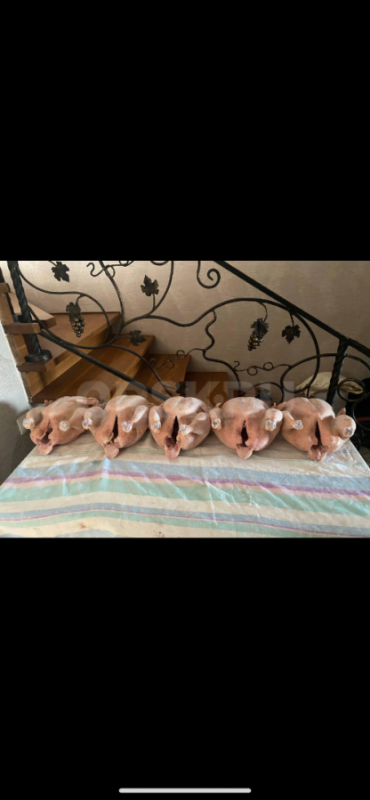 Продам мясо кур бройлеров. - Орск