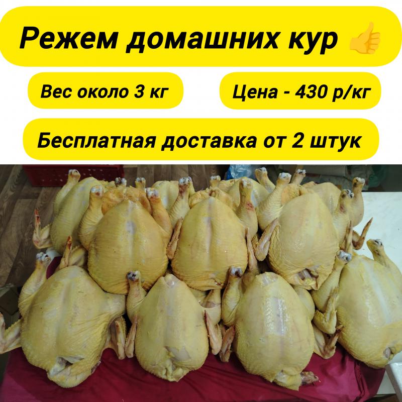 Домашние куры, утки мясные и жирные, потрошка, копченые домашние куры и копченые мясные утки. - Новотроицк