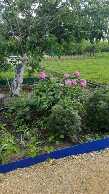 Продаётся сад 6.9 сот. со всеми постройками. - Орск