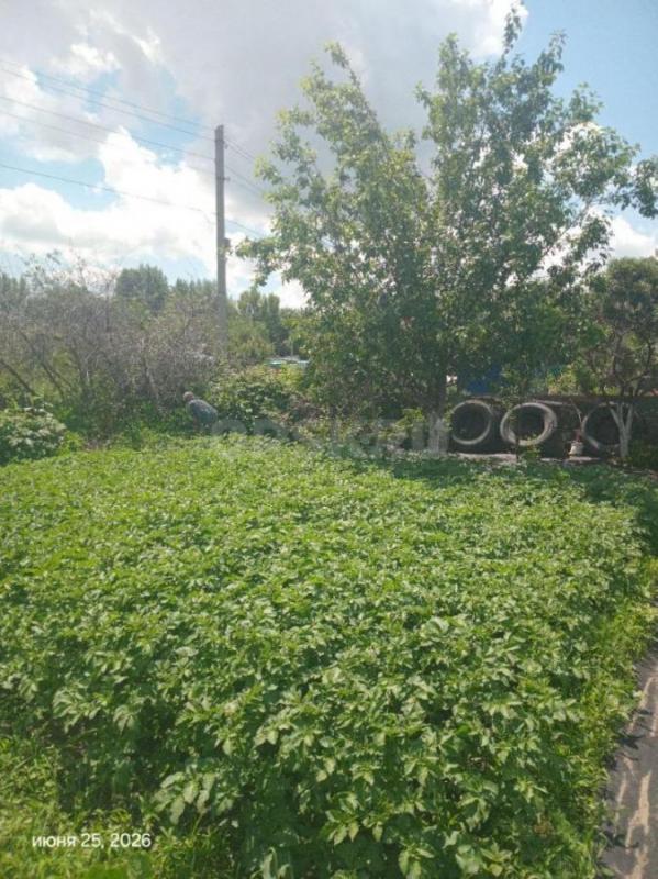 Продам сад 6,24 сот в не затопляемом р-не, за магазином Лента, СНТ Нива. - Орск