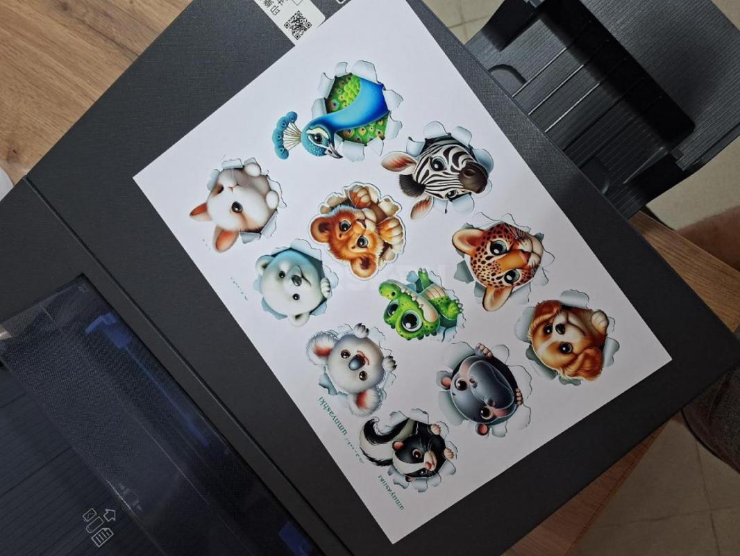 Продаю надёжный 6-цветный фотопринтер Epson L8050 с заводской СНПЧ (Очень экономичный, один раз запр - Гай