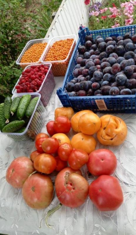 Продам в наличии!! - Орск