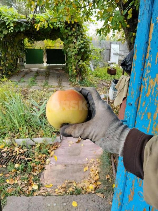 Продается дача, расположенная на участке в СНТ (район второй садовой, сады ТЭЦ). - Орск