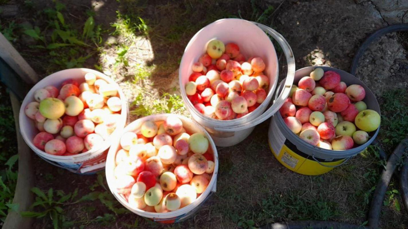 Продаётся приватизированный садовый участок прямоугольной формы 6,5 соток. - Орск